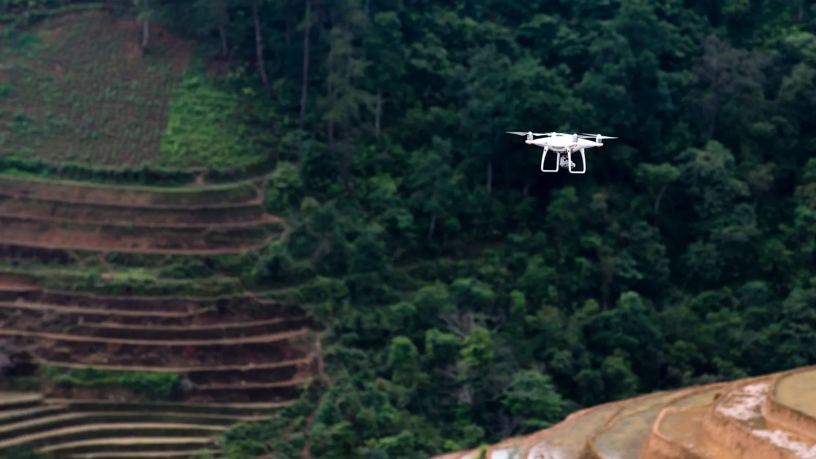 Tecnología y drones aplicados a la gestión forestal y resiliencia climática