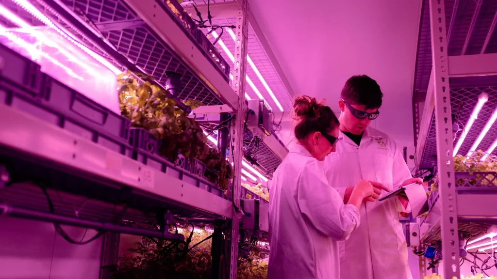 Innovación sostenible y climate tech aplicada a procesos industriales