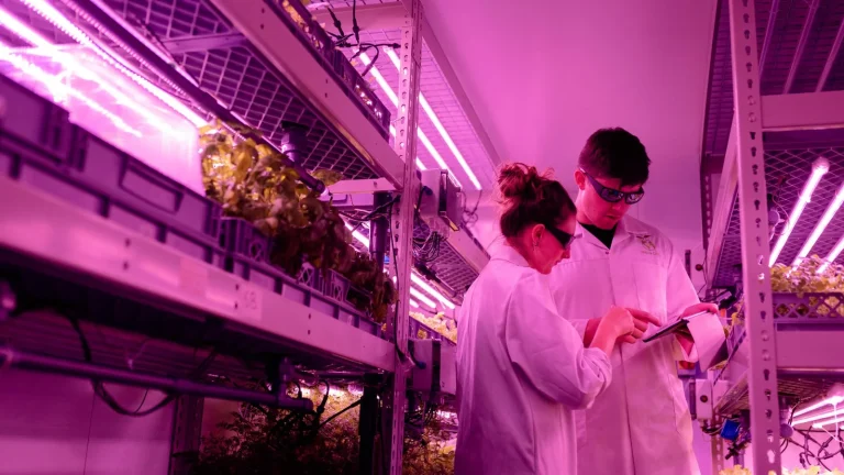 Innovación sostenible y climate tech aplicada a procesos industriales